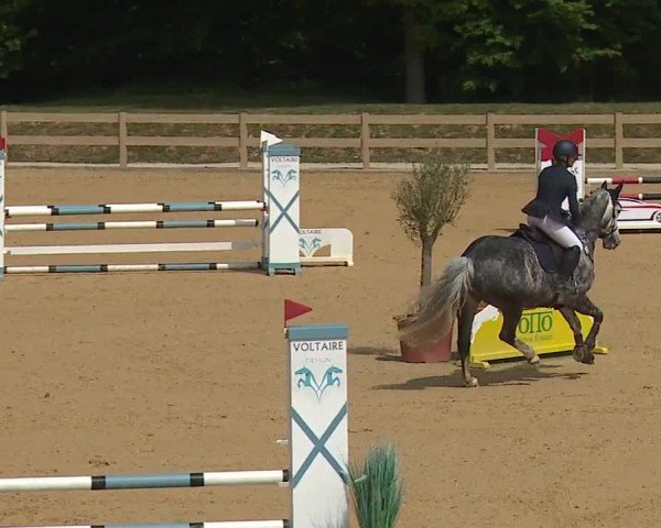 Reitturnier Tiefenhof/Opf. 2024
