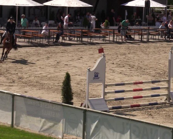 Reitturnier Hamm-Rhynern 2024