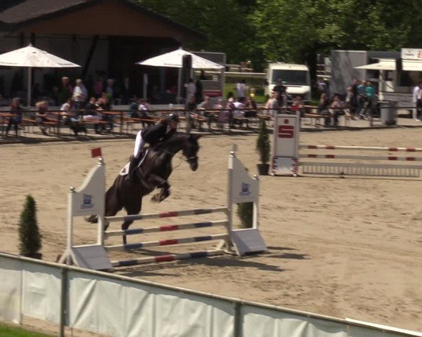 Reitturnier Hamm-Rhynern 2024