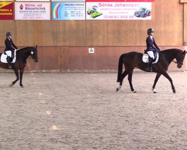 Reitturnier Risum-Lindholm 2024