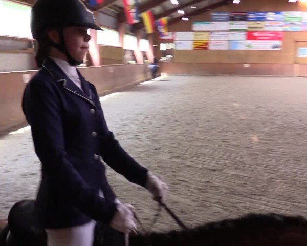 Reitturnier Risum-Lindholm 2024