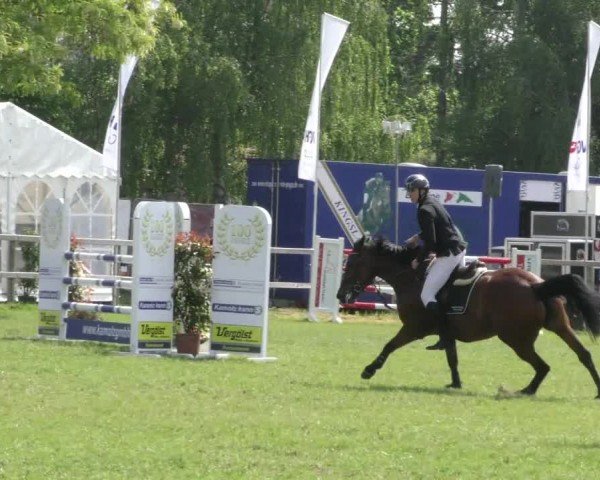 Reitturnier Wilkenburg 2024