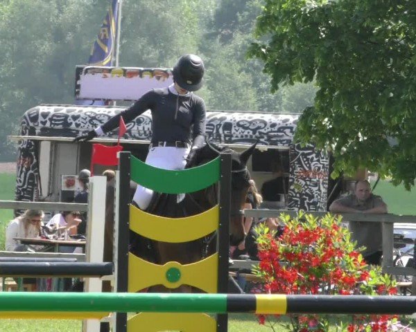 Reitturnier Wilkenburg 2024