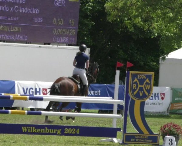Reitturnier Wilkenburg 2024