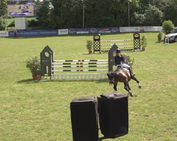 Reitturnier Scharnebeck 2024