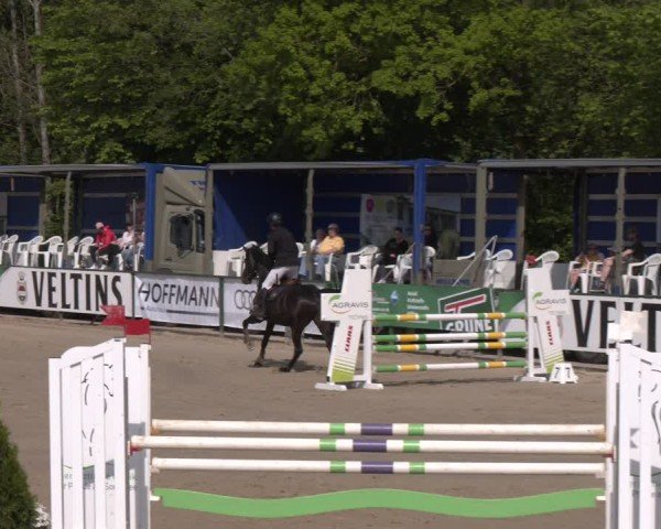 Reitturnier Hellefeld 2024