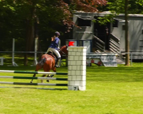 Reitturnier Helmsdorf 2024