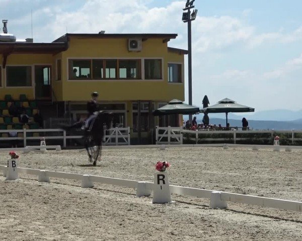 Reitturnier St. Margarethen 2024