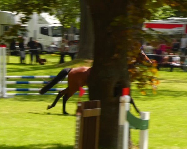 Reitturnier Helmsdorf 2024