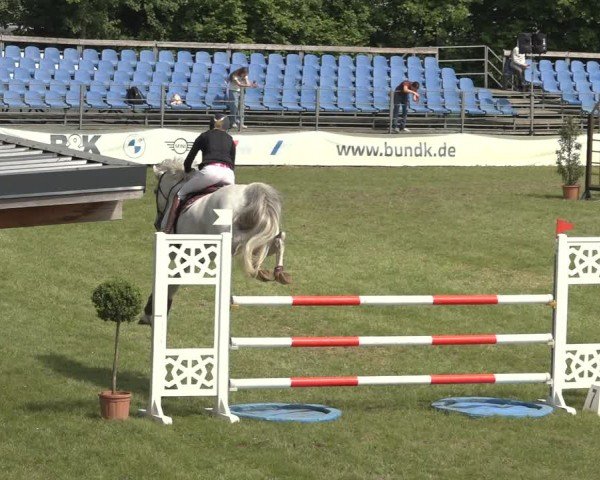 Reitturnier Scharnebeck 2024