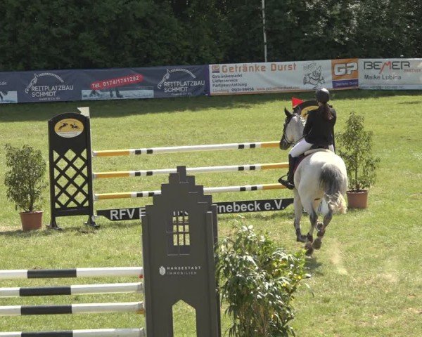 Reitturnier Scharnebeck 2024