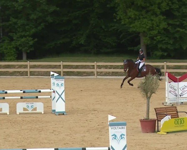Reitturnier Tiefenhof/Opf. 2024
