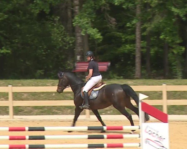 Reitturnier Tiefenhof/Opf. 2024