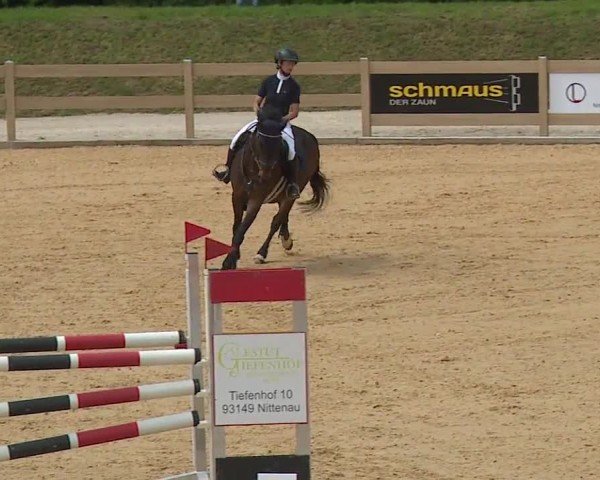 Reitturnier Tiefenhof/Opf. 2024
