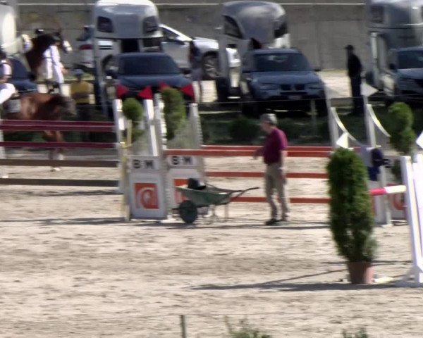 Basler Pferdesporttage Schänzli 2021