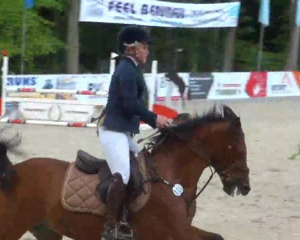 Reitturnier Cloppenburg 2012