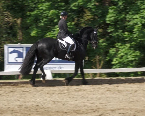 Reitturnier Teupitz 2024