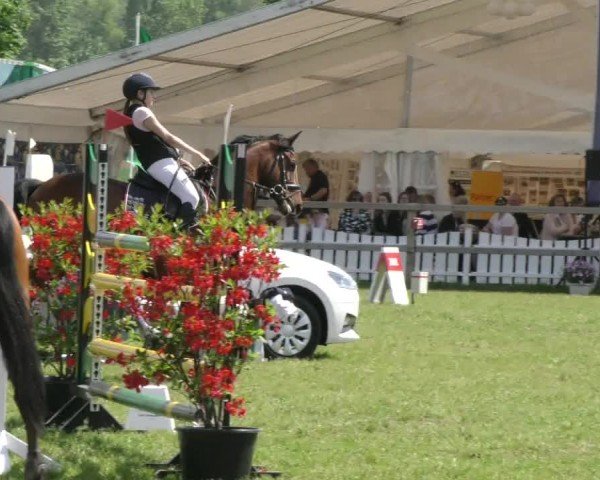 Reitturnier Wilkenburg 2024