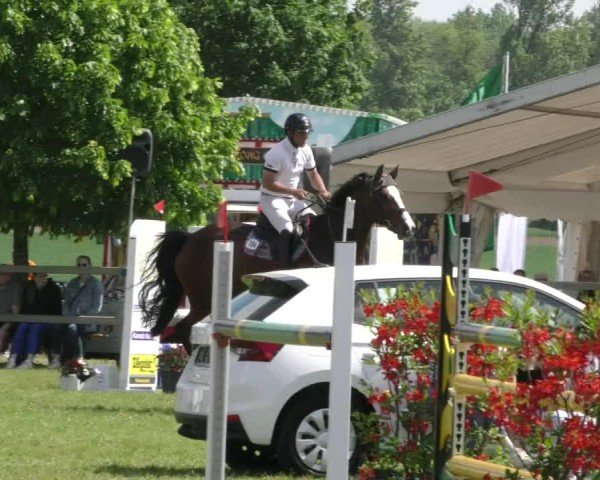 Reitturnier Wilkenburg 2024