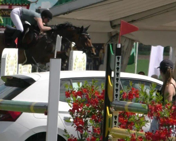 Reitturnier Wilkenburg 2024