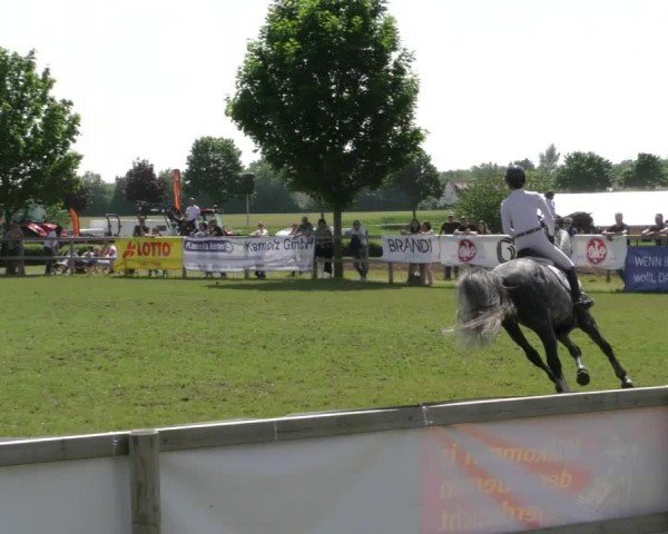 Reitturnier Wilkenburg 2024