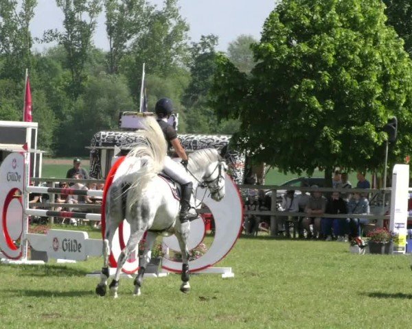 Reitturnier Wilkenburg 2024