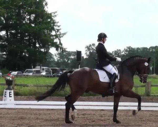 Weser Ems Meisterschaften Cloppenburg 2012