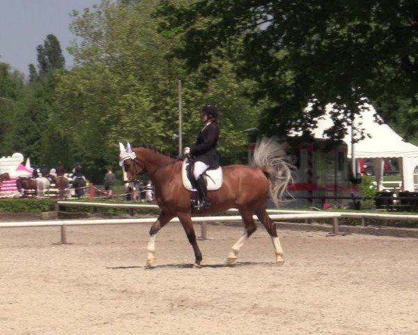 Reitturnier Hamm-Rhynern 2024