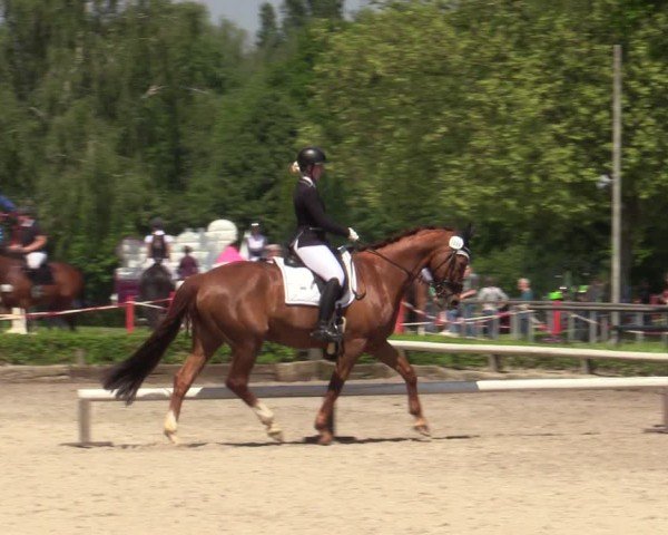 Reitturnier Hamm-Rhynern 2024