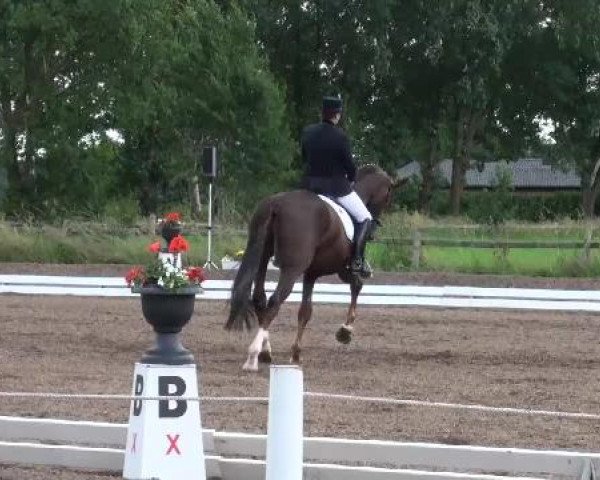 Weser Ems Meisterschaften Cloppenburg 2012