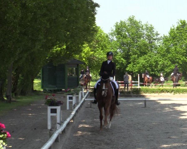 Reitturnier Hamm-Rhynern 2024