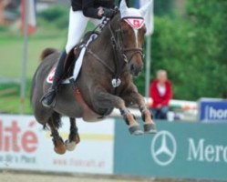 broodmare Top Jezabel de L'Etape (French Pony, 1997, from Randcho)