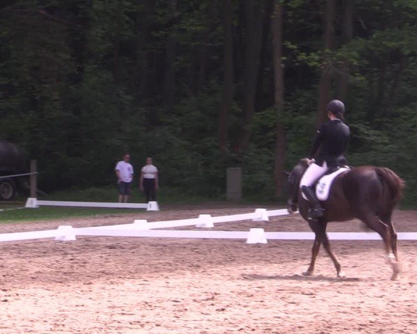 Reitturnier Helmsdorf 2024
