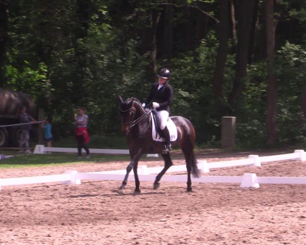 Reitturnier Helmsdorf 2024