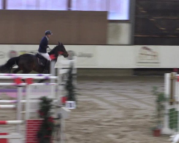 Winter Hallen Reit- und Springturnier, Reithalle Rohmann 2021