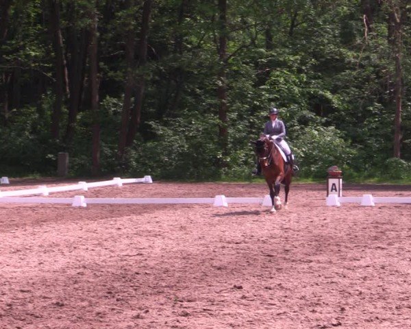 Reitturnier Helmsdorf 2024