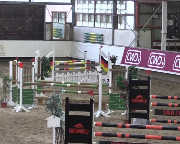 Winter Hallen Reit- und Springturnier, Reithalle Rohmann 2021