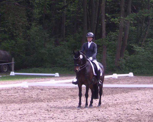 Reitturnier Helmsdorf 2024