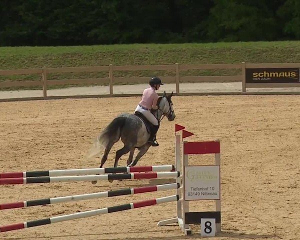 Reitturnier Tiefenhof/Opf. 2024