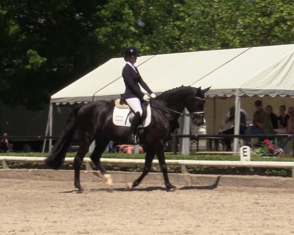 Reitturnier Hamm-Rhynern 2024