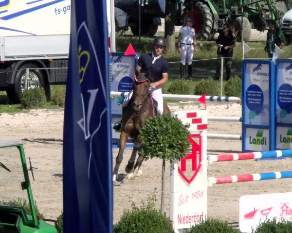 Basler Pferdesporttage Schänzli 2021