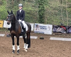 dressage horse Docelli 3 (German Riding Pony, 2010, from Dance Star AT NRW)