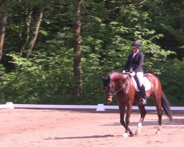 Reitturnier Helmsdorf 2024