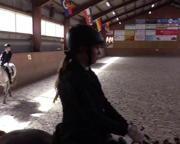 Reitturnier Risum-Lindholm 2024