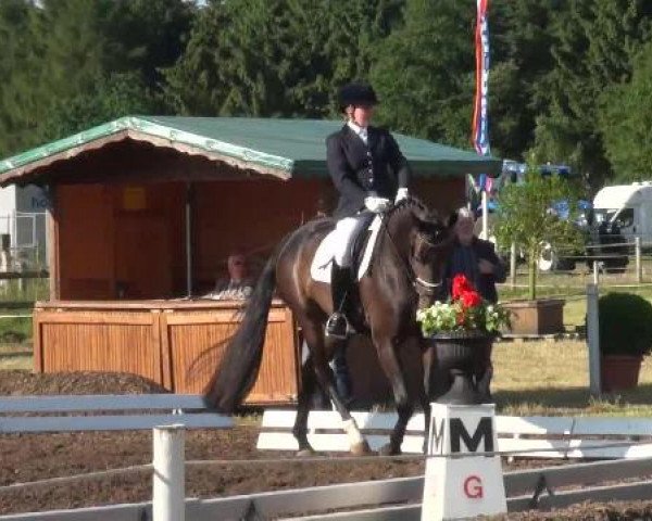 Weser Ems Meisterschaften Cloppenburg 2012