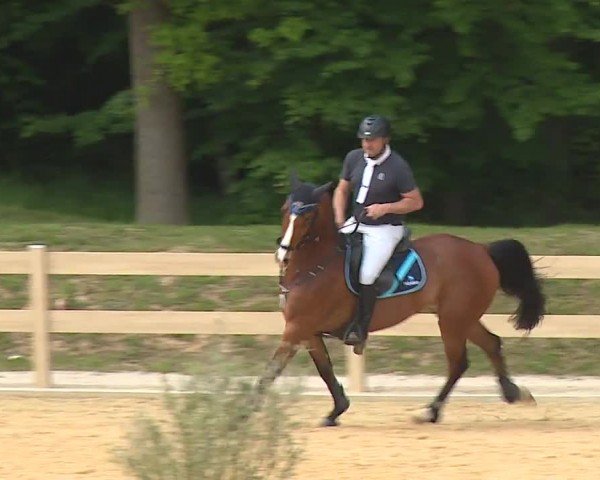 Reitturnier Tiefenhof/Opf. 2024