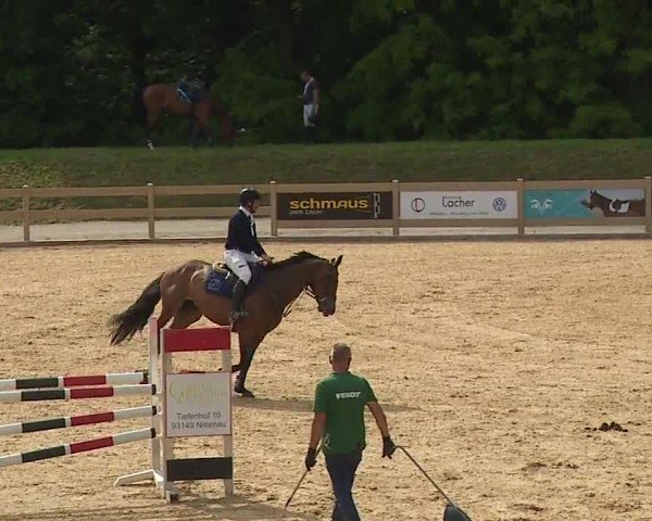 Reitturnier Tiefenhof/Opf. 2024
