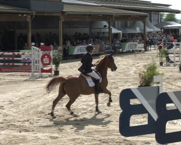 Reitturnier Hellefeld 2024