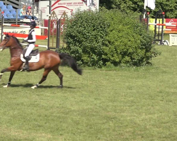 Reitturnier Scharnebeck 2024