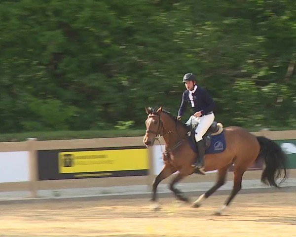 Reitturnier Tiefenhof/Opf. 2024